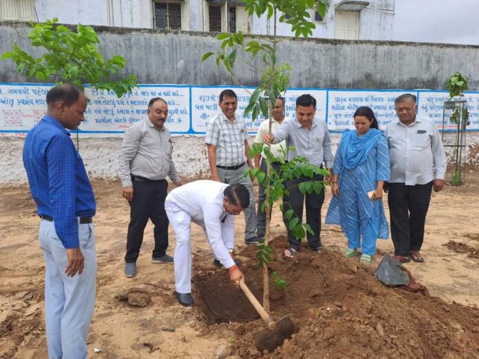 દહેગામ: મ્યુનિસિપલ ગ્રાઉન્ડ ખાતે ધારાસભ્ય બલરાજસિંહની ઉપસ્થિતિમાં વૃક્ષારોપણ કાર્યક્રમ યોજાયો